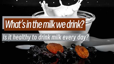 What Happens To Our Body When We Drink Milk Every Day Whats In Milk
