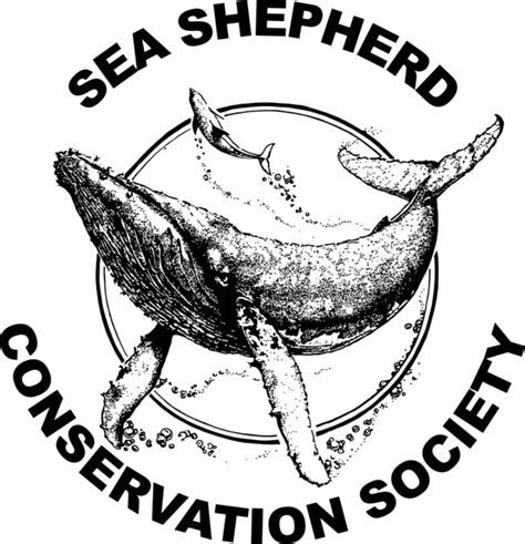 Sea Shepherd Conservation Societys Expedition To Sight Critically