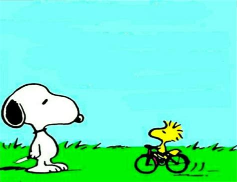 Pin By Gino Cirillo On Snoopy And Woodstock Show Snoopy And Woodstock