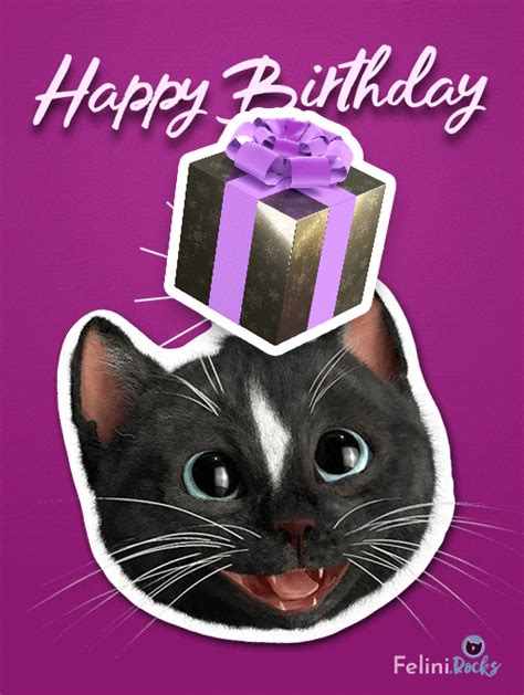 Happy Birthday Cat Surprise T 