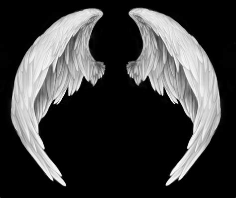 10 Angels Aa Psd Images Photoshop Angel Wings Template White Angel
