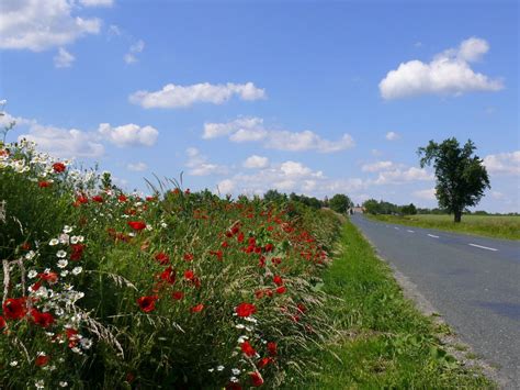 Wir sprechen mit udo lochmann und seiner frau über ihr hobby welches sie zum. Ungarische Landschaft Foto & Bild | europe, hungary ...