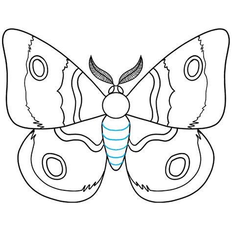 How To Draw A Moth Really Easy Drawing Tutorial