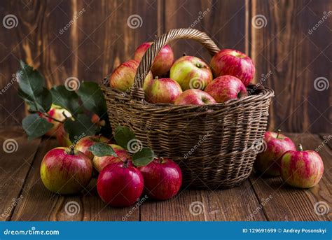 Ripe Red Apples In A Basket Stock Image Image Of Fall Farm 129691699