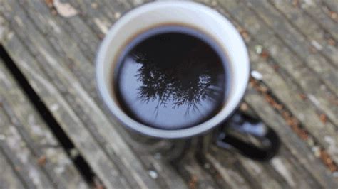 30 Tastiest Coffee Animated Gifs - Best Animations