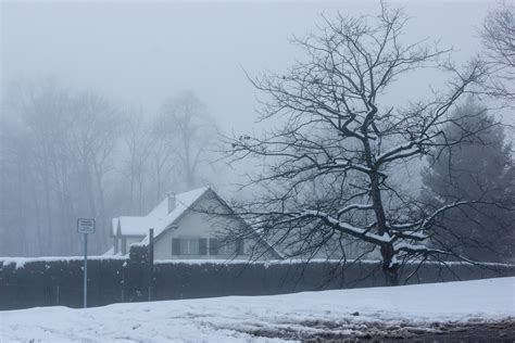 Free Images Snow Atmospheric Phenomenon Sky Tree Freezing