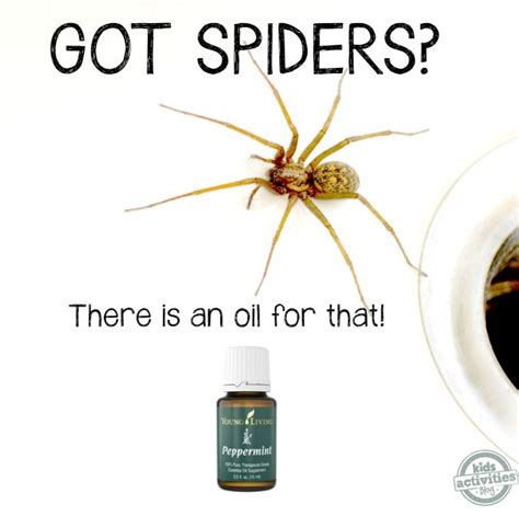 Easy Diy Natural Spider Repellent Spray To Keep Spiders Away Kids