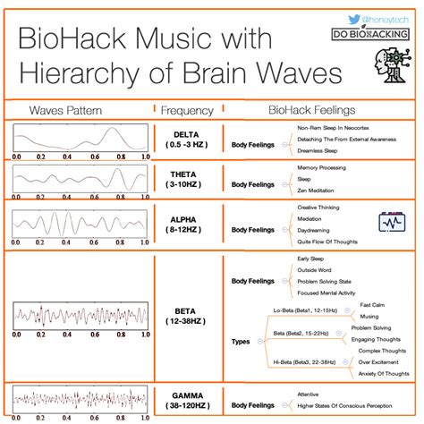 Biohack Music Chart Hierarchy Of Brain Waves Do Biohacking