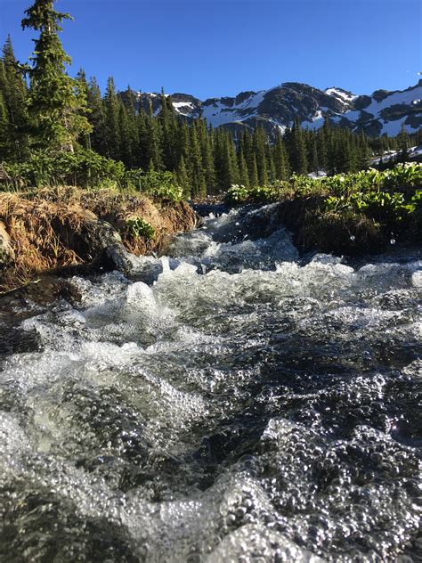 Windsor Lake Trail near Leadville, Colorado. Outflow stream from a pond