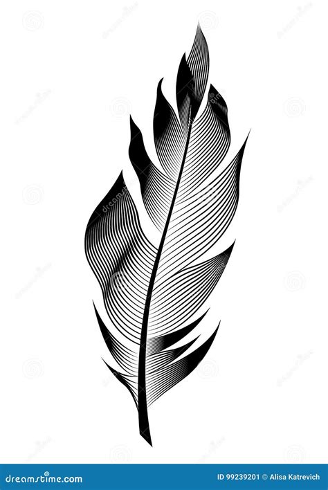 Vector Stylized Bird Feather Linear Object For Decoration Stock