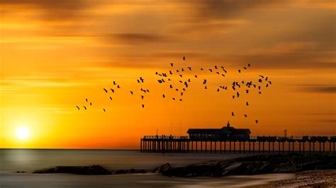 2048x1152 Pier 4k Sunset Bird Flying 2048x1152 Resolution Wallpaper Hd