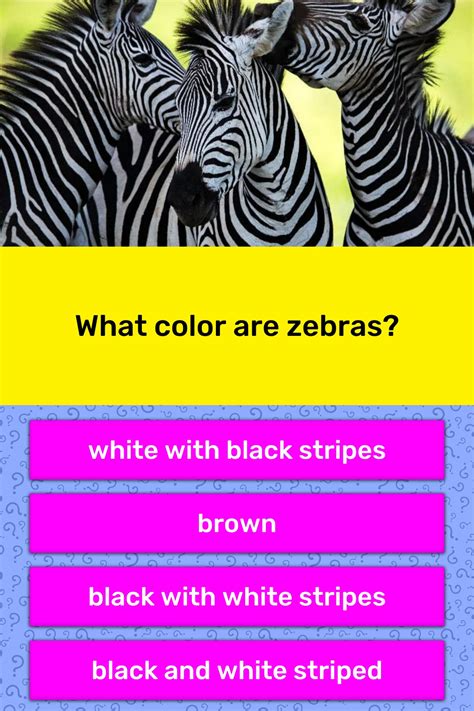 What Color Are Zebras Trivia Questions Quizzclub