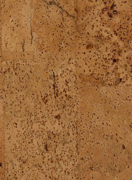Cork Wall Tiles: Harmony Acoustical Wall Ceiling Panels | Jelinek Cork