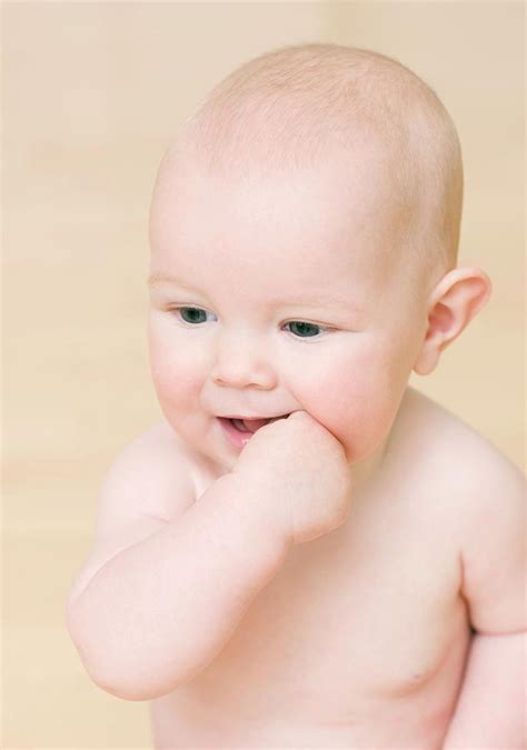 Baby Photograph By Ian Hooton Science Photo Library Pixels