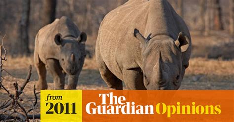the western black rhino has been declared extinct does that bother you open thread the