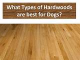 Images of Best Types Of Wood Flooring