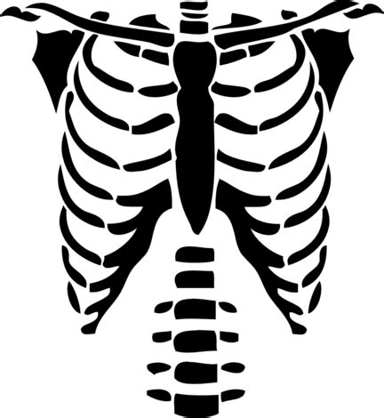 Skeleton Rib Cage Template Printable