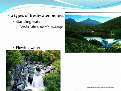 Ppt Freshwater Biome Powerpoint Presentation Free Download Id3155140