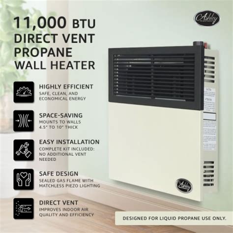 Ashley Hearth Products 11000 Btu Direct Vent Liquid Propane Wall Mount