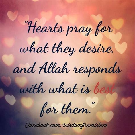 beautiful muslim love quotes and sayings thousands of inspiration quotes about love and life