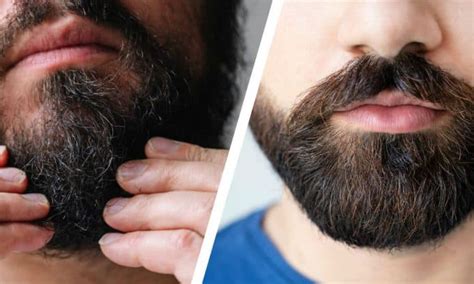 How To Get Beard And Mustache To Lay Flat And Not Stick Out