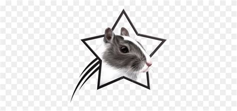 Hamster Clipart Gerbil Gerbil Clipart Stunning Free Transparent Png