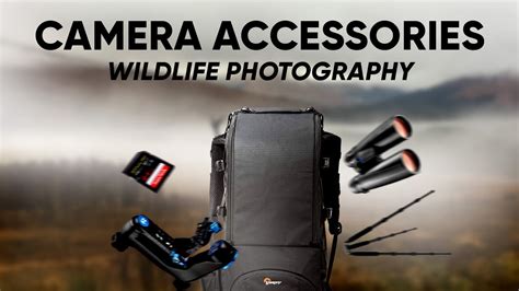 Must Have Camera Accessories For Wildlife Photography Youtube