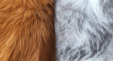 Fur Photoshop Brushes Armory