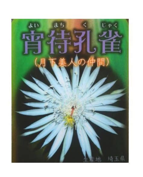 6月～ 8月 グリンピース 5月～ 6月 莢隠元 6月～ 8月 莢豌豆 4月～ 7月 じゃがいも 4月～ 6月 春菊 2月～ 6月 蚕豆 5月～ 6月 玉葱 4月～ 6月 トマト 5月～ 9月 茄子 6月～11月 ピーマン 6月～ 9月 新茶 6月 鰺 4月～ 7月 穴子 6月～ 8月 いさき 5月～ 8月 鰹 5月～ 8月 鱚 5月. 7月19日の誕生石・誕生花・バースデーカラー・ラッキー ...