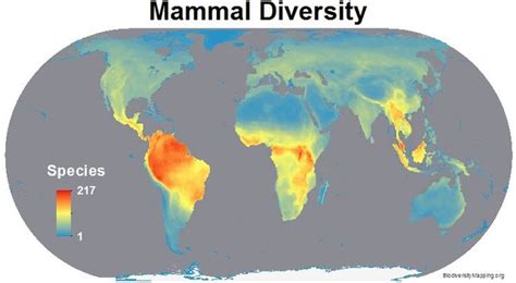 Biodiversity Threats Maps Of Species Hotspots Live Science