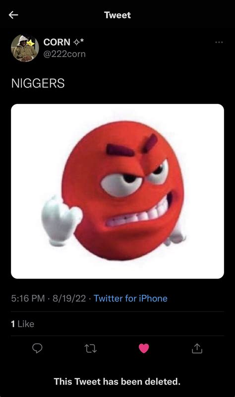 SheisMichaela's Deleted Tweets: The Hidden Leak