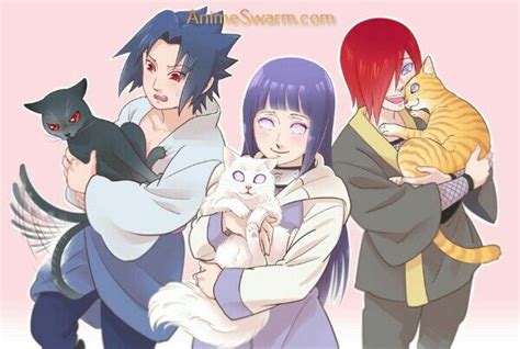 Gatos Ninjas Naruto Shippuden Anime Anime Naruto