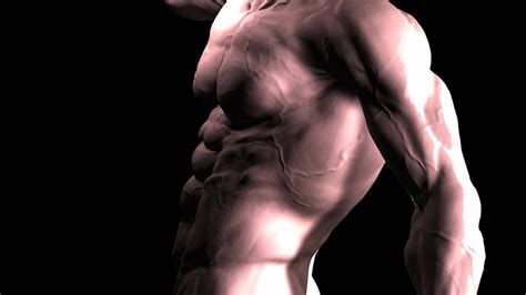 We did not find results for: The STRONGEST SECRET for GAINING MUSCLE (Tone, Size, or ...