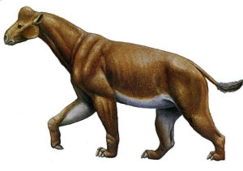 Art Illustration Prehistoric Mammals Tylocephalonyx Is An Extinct