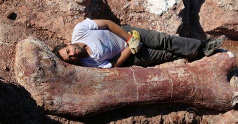 Scientists Discover Largest Dinosaur Ever To Have Walked The Earth