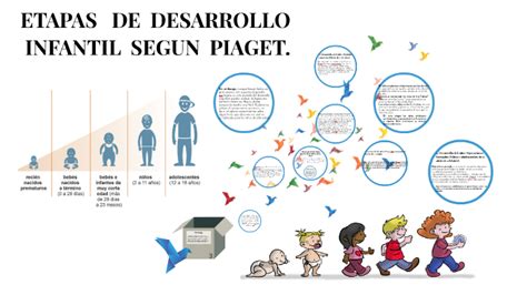 Etapas De Desarrollo Infantil Segun Piaget By Daniela Reyes Delmar