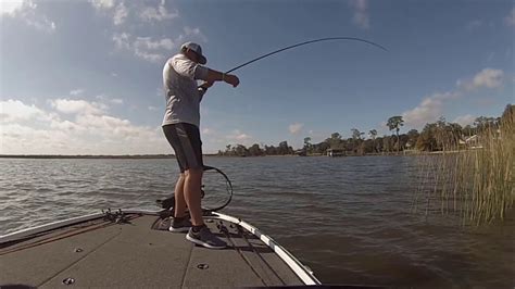 Bass Fishing Lake Hamilton Fl Nov 14 2018 Youtube