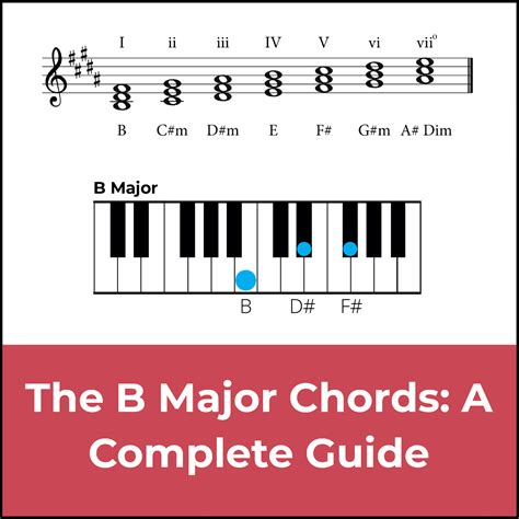 Chords In B Major A Music Theory Guide