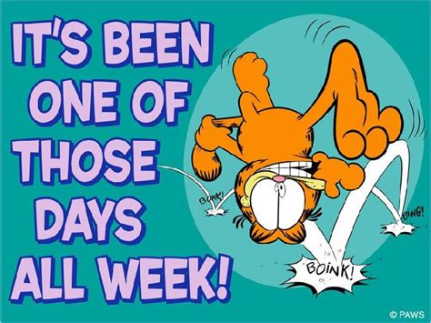 Garfield Wednesday Quotes And Quotesgram