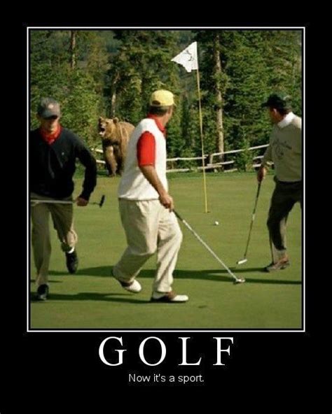 Funny Golf Meme Foxydoorcom Funny Golf Pictures Golf Humor Golf