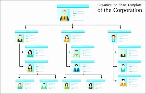 9 Corporation Organizational Chart Sampletemplatess Sampletemplatess