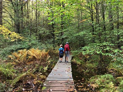 Hiking With Kids In Southern Vermont — Stasia Savasuk