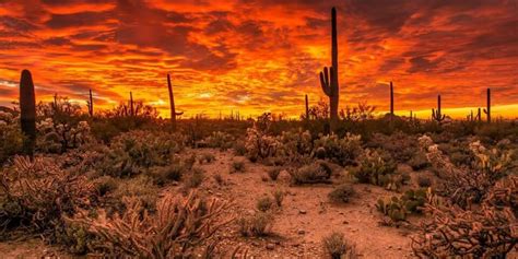 10 Examples Of Why An Arizona Sunset Is The Best Youll
