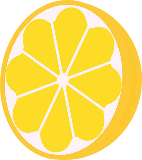 Download Lemon Citrus Cross Section Royalty Free Vector Graphic