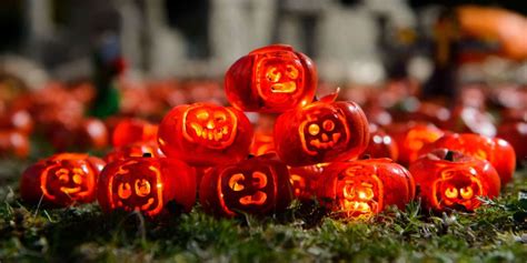 You Can Visit The Worlds Smallest Pumpkin Patch