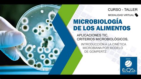 Curso Taller Microbiología De Alimentos Y Aplicaciones Tic Eqs Grupo