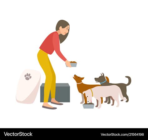 Friendly Female Volunteer Feeding Dogs In Animal Vector Image