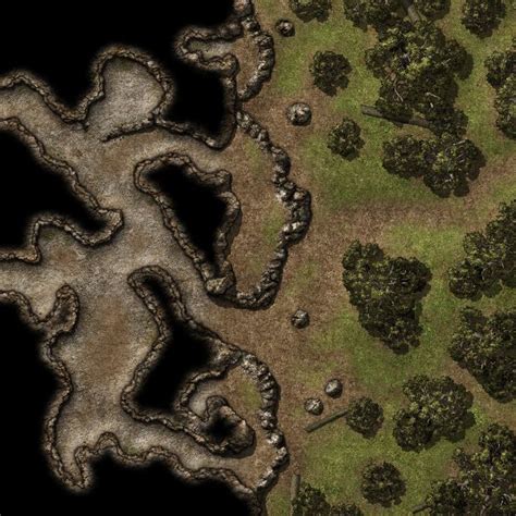 The Forest Map Of Cave Entrances
