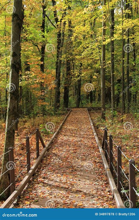 Peaceful Path Stock Photo Image Of Nature Foliage Fall 34897878