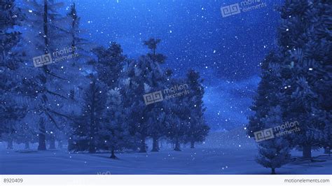 Pine Forest At Magic Winter Night Stock Video Footage 8920409